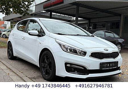 Kia Cee'd gebraucht kaufen Kia Cee'd Ceed / 1.4i/PDC/Lenk-&SHZ/S-HEFT/AHK/S-HEFT/EURO6