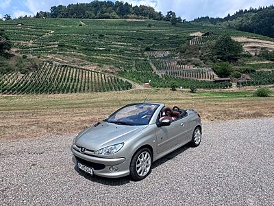 Peugeot 206 CC 135 Roland Garros