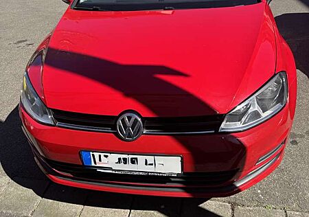 VW Golf Volkswagen 1.6 TDI BlueMotion Trendline