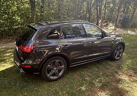 Audi Q5 Audi Q5 3.0 TDI quattro 258 PS | S line/SQ5 Optik