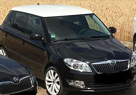 Skoda Fabia Family
