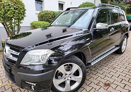 Mercedes-Benz GLK 220 CDI BlueEfficiency 4Matic (204.984)