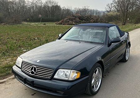 Mercedes-Benz SL 500 AMG sportpaket