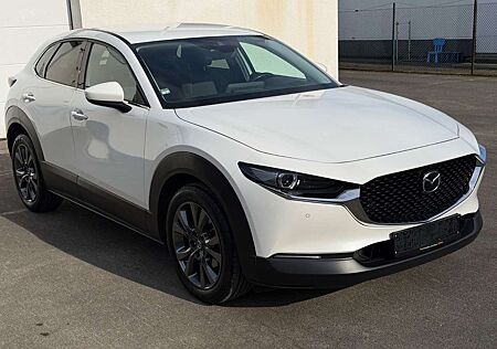 Mazda CX-3 0 Selection 2WD ACC|AHK|R.KAM|SPUR|HUD