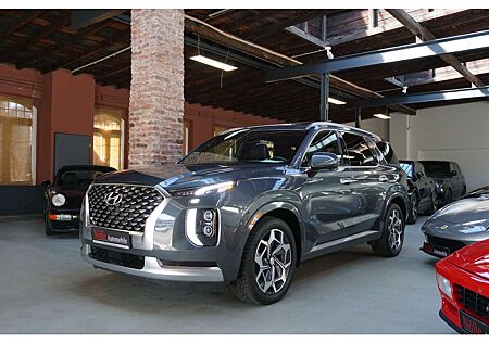 Hyundai Tucson Palisade AWD Ultimate 360° Leder Pano