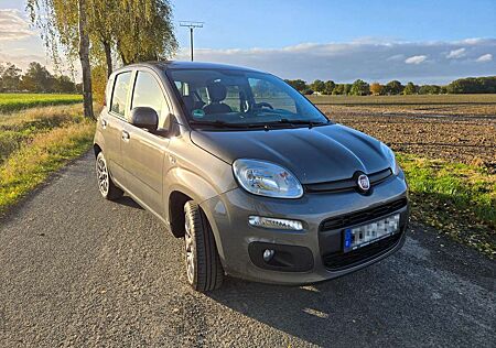 Fiat Panda Lounge - Klima*DAB*Einparkhilfe*Winterrad