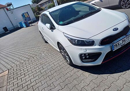 Kia Pro_ceed ProCeed / pro_cee'd pro Ceed 1.6 T-GDI GT-Challenge