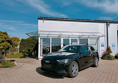 Audi e-tron 55 quattro advanced Kameraspiegel