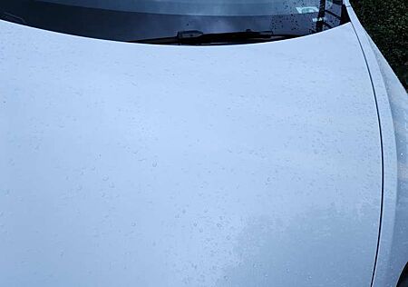 Tesla Model 3 Standard Reichweite Plus Hinterradantrieb