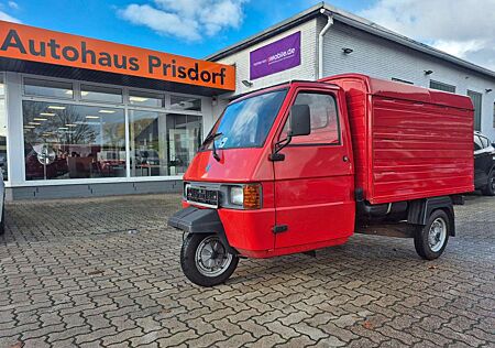 Piaggio APE Rückfahrkamera/Großes Kennzeichen/