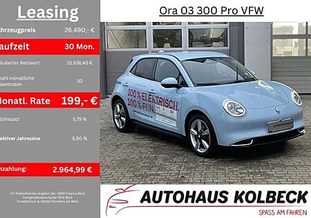 GWM Ora 03 300 Pro