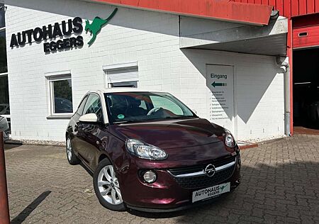 Opel Adam Jam/AUT/SHZ/LRHZ/TEMP/GJR/PDC/TEILLEDER
