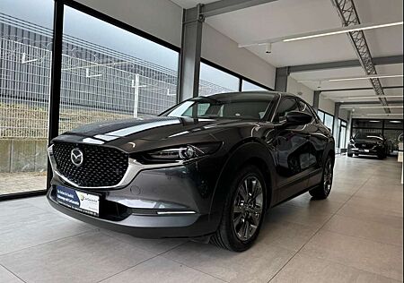 Mazda CX-30 Selection X 186 PS *Design*Premium-Paket*AHK*