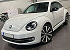 VW Beetle Volkswagen 2.0 TSi Sport Automatik *Xenon*Leder*SHZ*