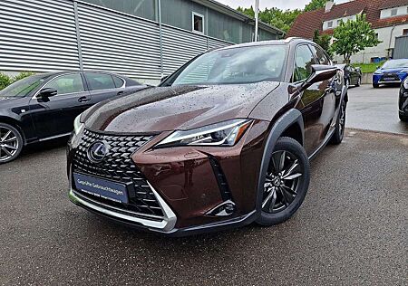 Lexus UX 250h Executive Line HUD/Navi/TWW/Leder