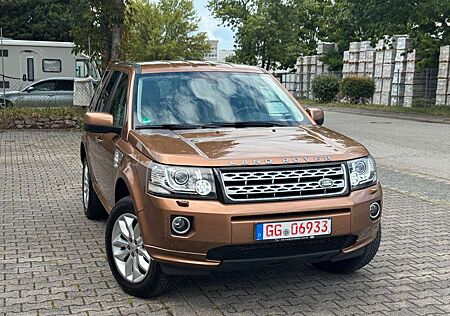 Land Rover Freelander 2 HSE SD4 Automatik 4x4 Xenon Leder D