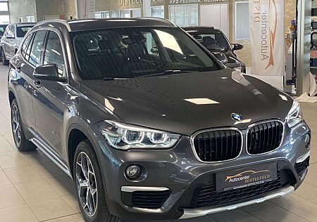 BMW X1 xDrive 20d xLine H&K PDC Navi AHK Automat.