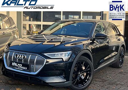 Audi e-tron 50 quattro Leder,Virtual,LED, Luft,20"