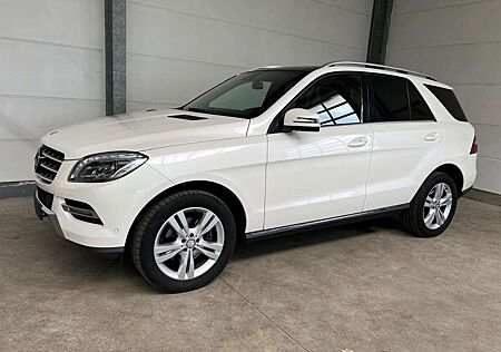 Mercedes-Benz ML 350 CDI BlueTec + 2.Hand + St'hzg + AHK