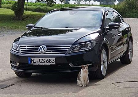 Volkswagen CC Basis BMT
