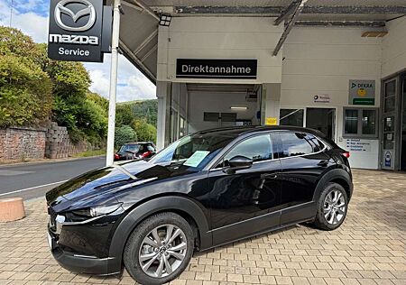Mazda CX-30 gebraucht kaufen Mazda CX-30 Selektion M-Hybrid 150 Automatik