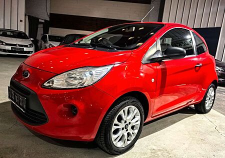 Ford Ka /+ Ambiente Zahnriemen+Wp neu
