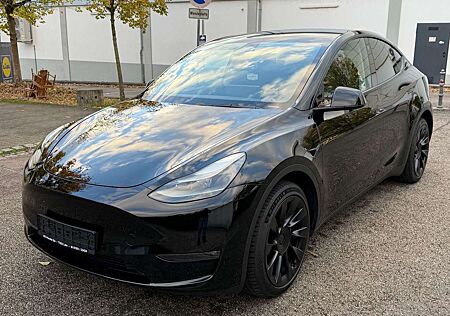 Tesla Model Y Long Range Dual AWD/PANO/ACC/LED/NAVI/SH