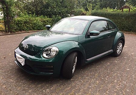 VW Beetle Volkswagen The