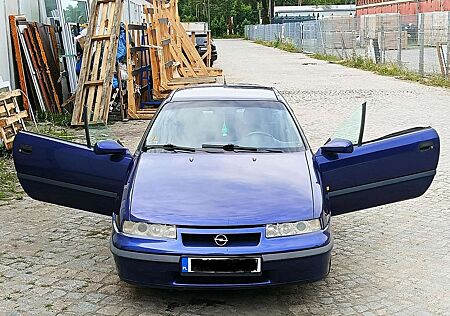 Opel Calibra Young