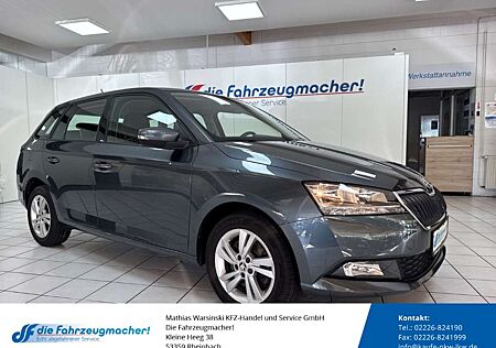 Skoda Fabia Combi Ambition 1.0 TSI EU6d-T Sperrdiff. Apple Car