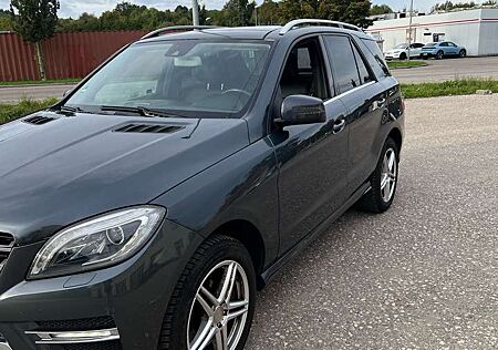 Mercedes-Benz ML 350 AMG Line, 7G Tronic, Tüv NEU, Standheizung