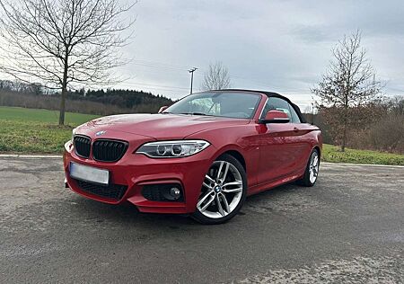 BMW 228 i Cabrio M Sport Design | Bi-Xenon,SH,Alcantara