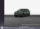 Skoda Karoq 1.5 TSI DSG AHK Navi