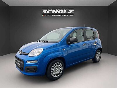 Fiat Pandina Panda MY25 ICON Hybrid 1.0 GSE 51kw 70PS