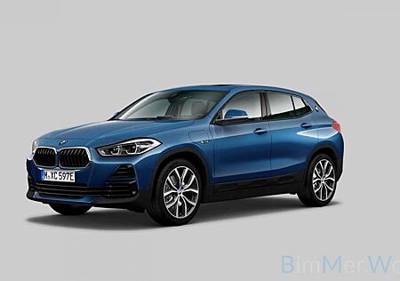BMW X2 ACC Kamera DAB HUD Memory Panorama 19