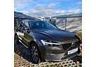 Volvo XC 60 XC60 Inscription*Xenium, Licht, Assistancepaket*