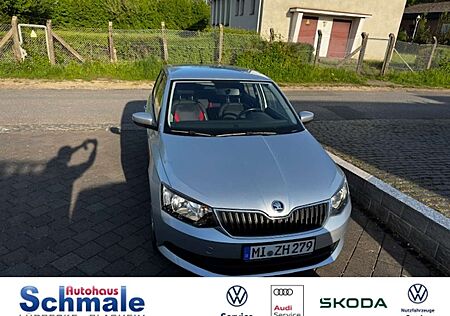 Skoda Fabia Ambition 1.0 TSI Sperrdiff. Notbremsass. Temp Berg