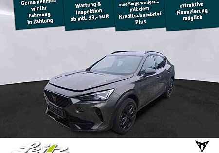 Cupra Formentor 2.0 TSI 4Drive VZ Tribe Edition *AHK*BEATS*MATRIX*