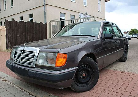 Mercedes-Benz 250 Mercedes Benz 250D |Restorierungsbedürftig|