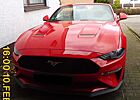 Ford Mustang Convertible 5.0 Ti-VCT V8 Aut. GT