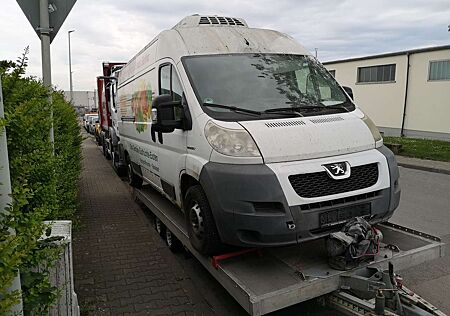 Peugeot Boxer MAXI KÜHLBUS--Kühlwagen ~KONVEKTA~L4H2