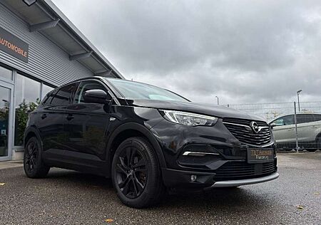 Opel Grandland X Color LED Kamera Totew Teilleder