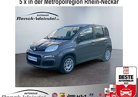 Fiat Panda Easy 1.2 DAB Berganfahrass. Klima MP3 CD eFH Tagfa