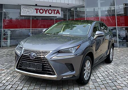 Lexus NX 300 h Executive Line Pano ParkAss. ACC