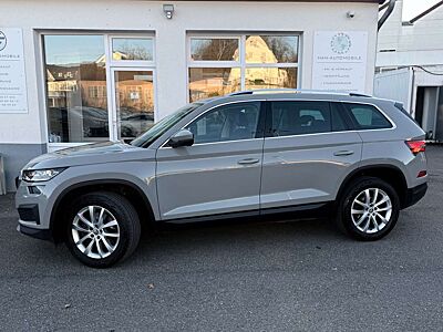 Skoda Kodiaq Style 4x4 *Memory+AHK+Columbus*