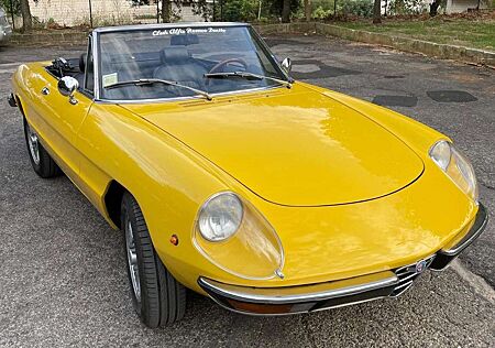 Alfa Romeo Spider gebraucht kaufen Alfa Romeo Spider Coda Tronca