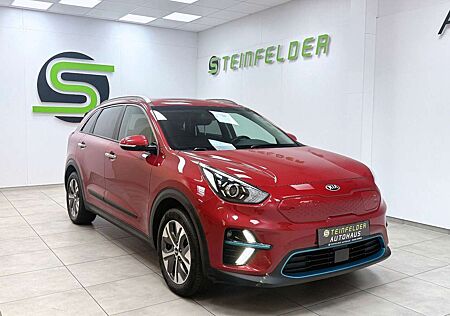 Kia Others Niro EV Vision / RKAM / T-LEDER / SHZ / ACC
