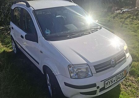 Fiat Panda 1.2 Automatik
