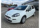 Fiat Punto Young