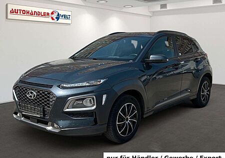 Hyundai Kona 1.0 T-GDI 1.Hand AAC LED Navi SHZ T-Leder P